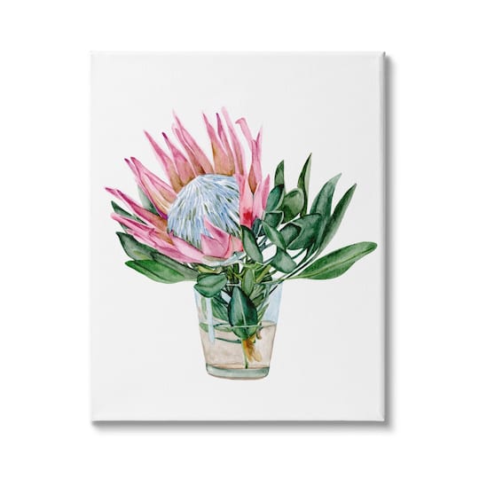 Stupell Industries Blushing Protea Flower Glass Watercolor Flower Still Life Canvas Wall Art